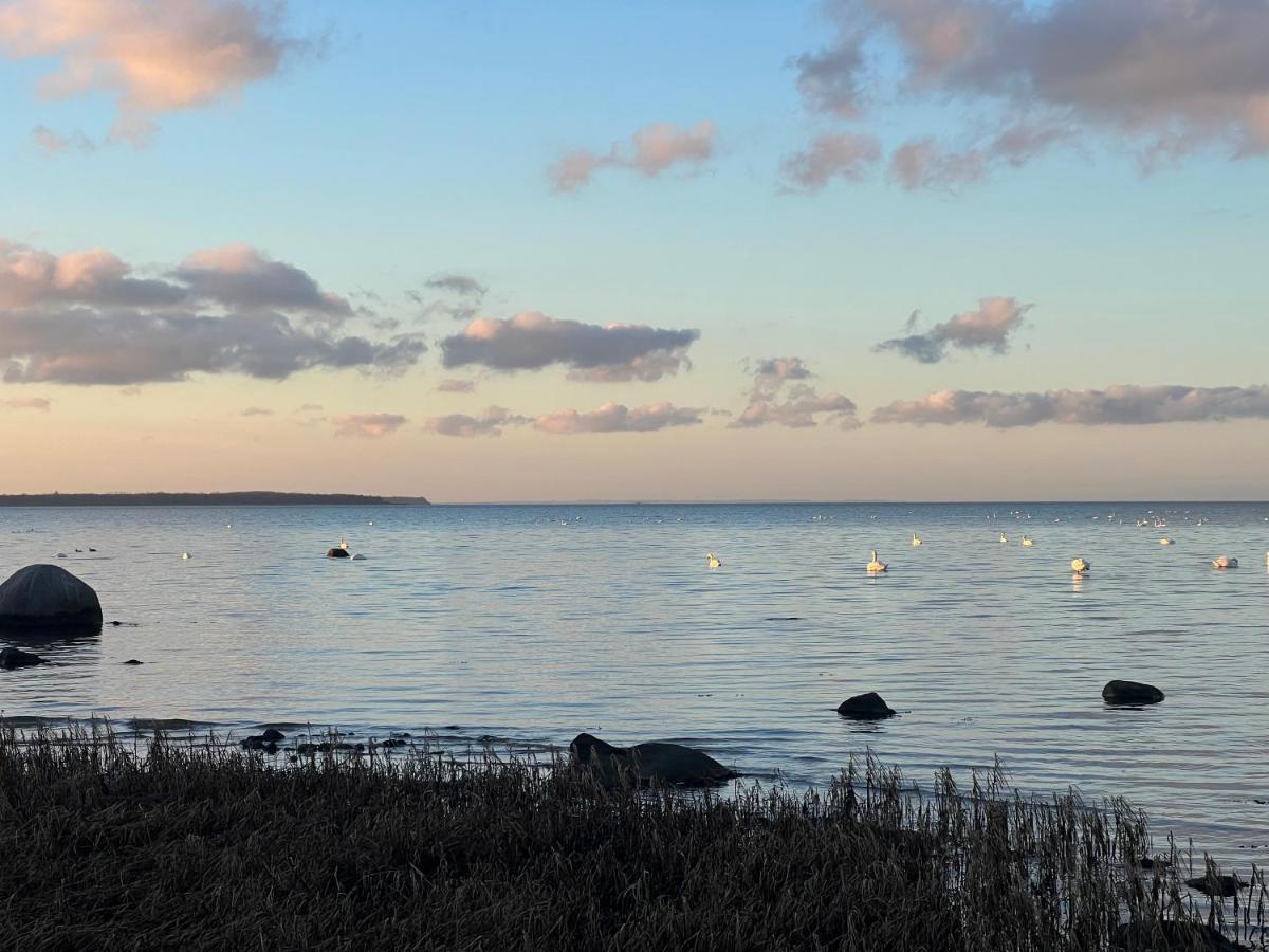 Reet Und Meer Beckerwitz Hohenkirchen  Zewnętrze zdjęcie