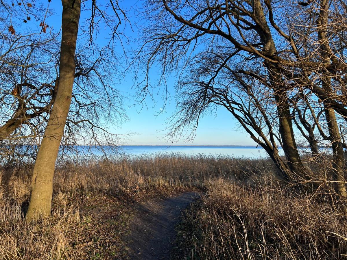 Reet Und Meer Beckerwitz Hohenkirchen  Zewnętrze zdjęcie