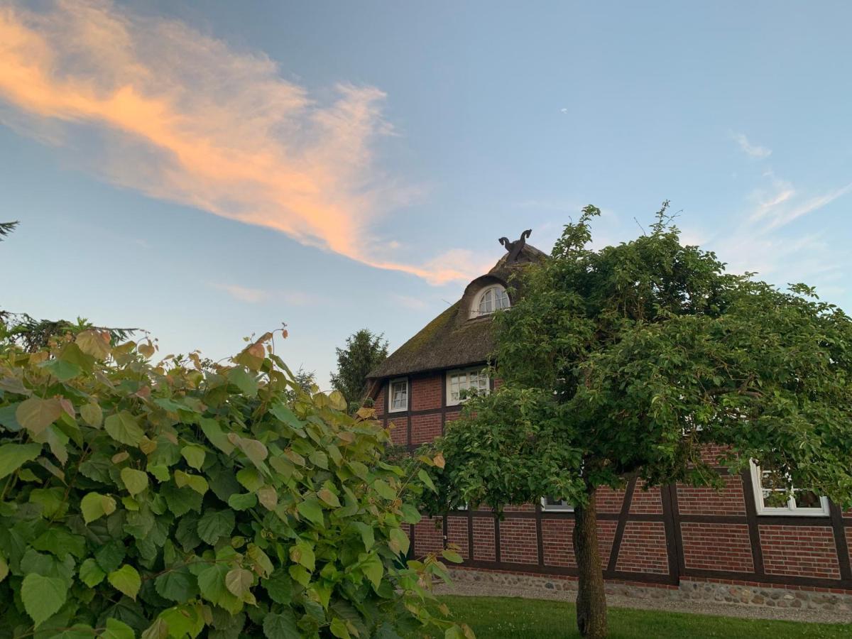 Reet Und Meer Beckerwitz Hohenkirchen  Zewnętrze zdjęcie